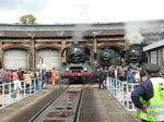 BR 03 1010 bei der Abschiedstour 2008 im Bw Schneweide, ich wnsche alle Freunden von Bahnbilder.de und  etc.