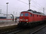 232 614-8 mit DZ46083 von Freiburg(Breisgau)-Hbf nach Brilon-Wald verlsst Dortmund Hbf nach dem Loktausch von 110 auf Ludmilla. Das ist ein Sound!!!  (02.11.07)