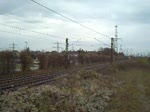 Schwarze Class 66, fhrt am 14.11.2009 durch Ahlten.