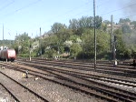 Ein IC von Nrnberg Hbf nach Karlsruhe Hbf, kurz vor dem Bahnhof Aalen, rauscht an einem Dampfzug der Br.