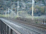 Re 4/4 II mit Regio nach Domodossola kurz vor dem Endbahnhof am 03.11.2007